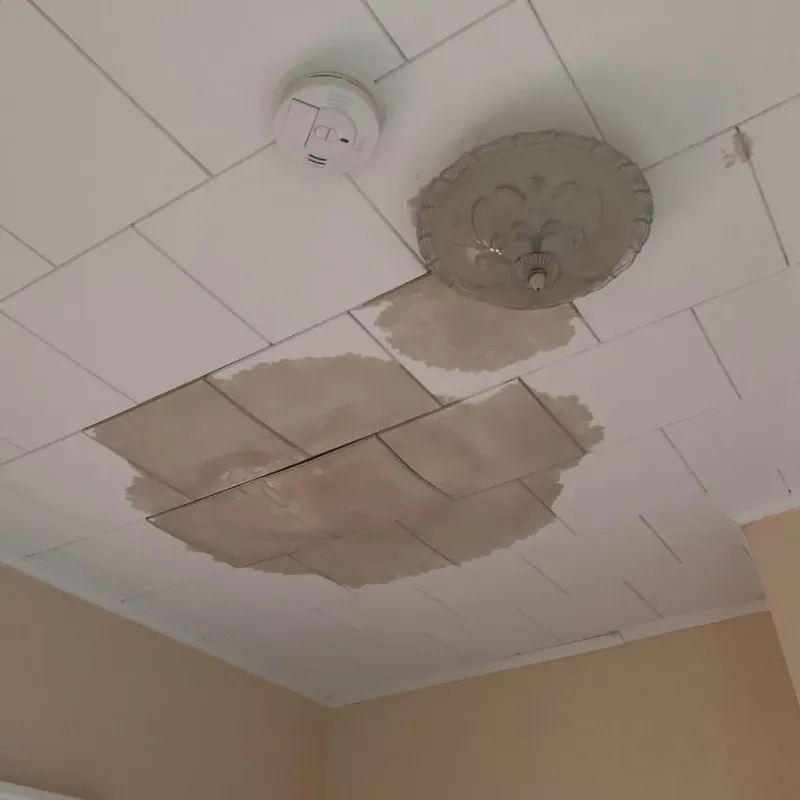 Ceiling Water Damage Repair in Dixon, CA